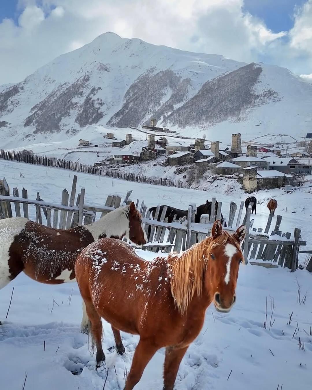 Chvibiani Guesthouse & Bar Ushguli Exterior photo