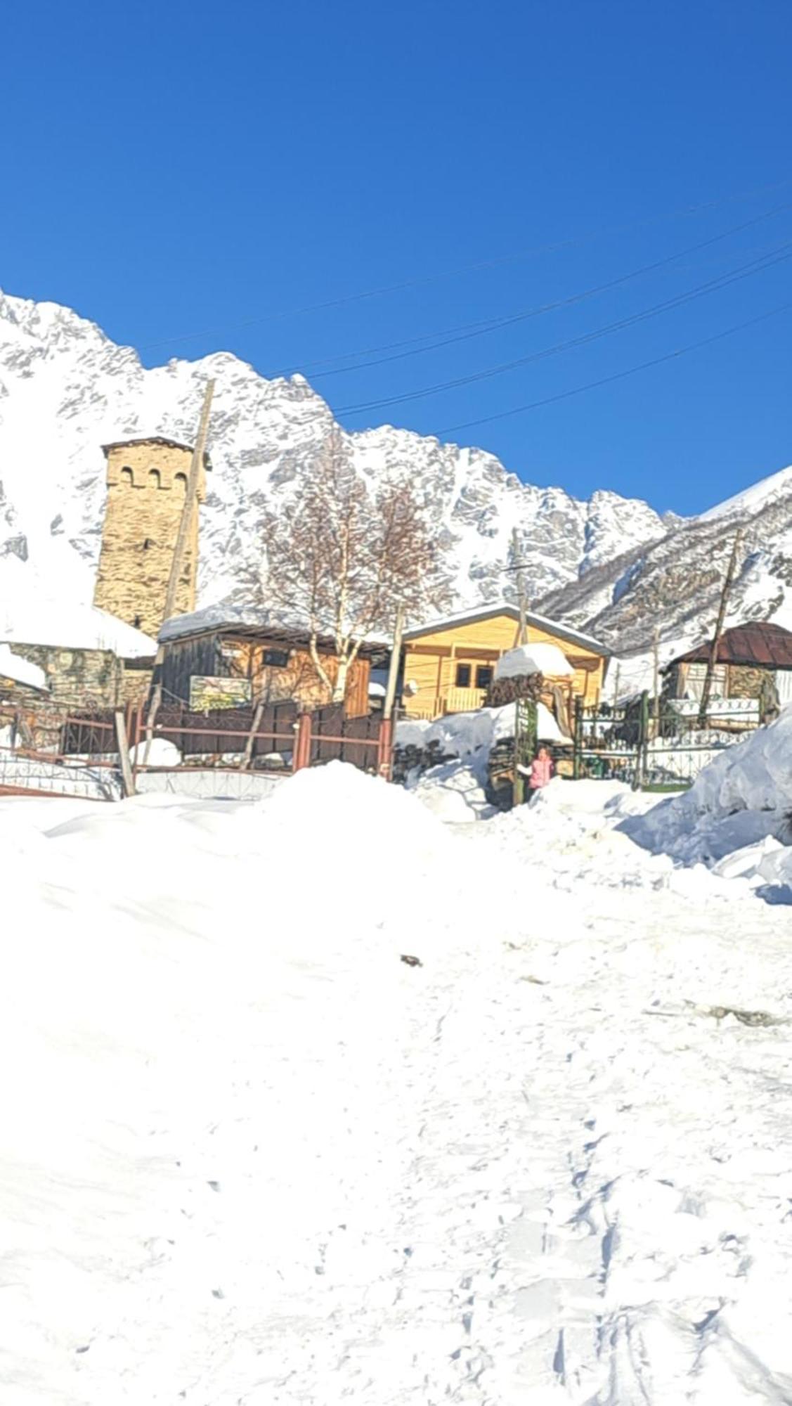 Chvibiani Guesthouse & Bar Ushguli Exterior photo