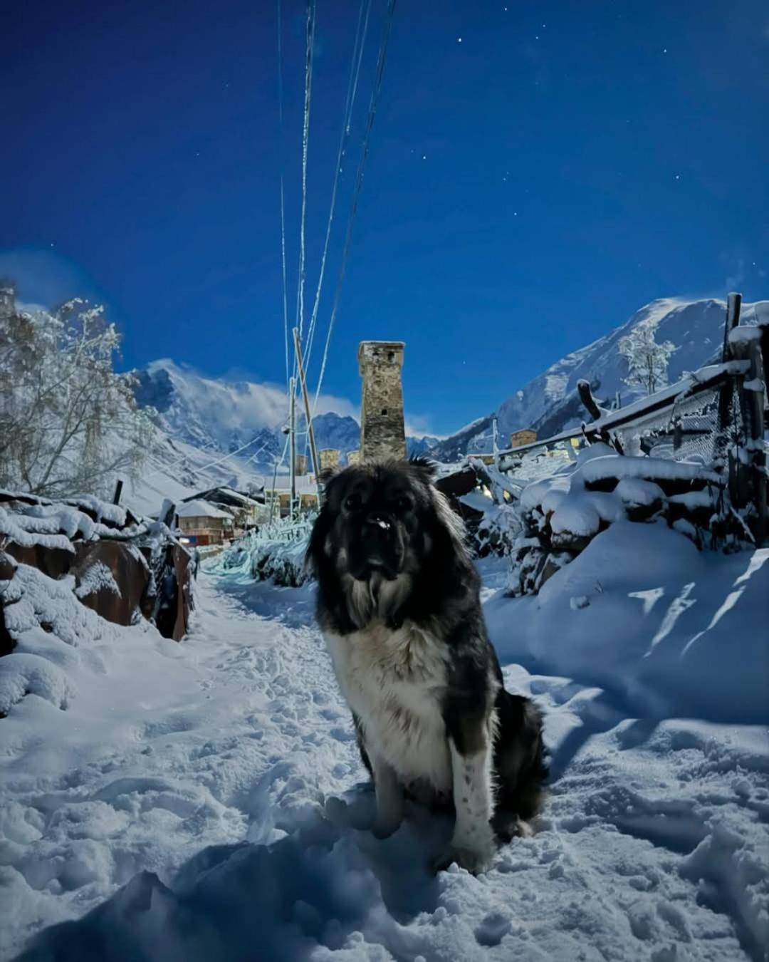 Chvibiani Guesthouse & Bar Ushguli Exterior photo